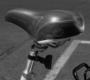 bontrager (for Beth)