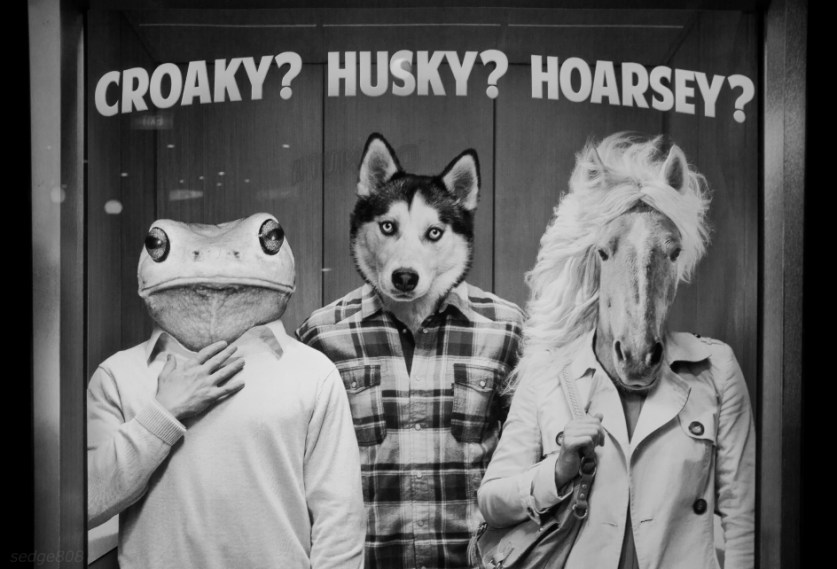 croaky, husky, hoarsey
