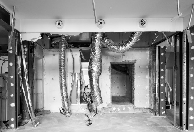 snake with three eyes