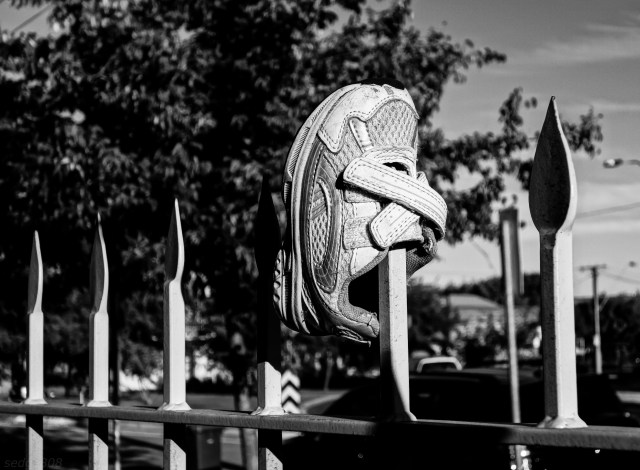 small shoe on a fence