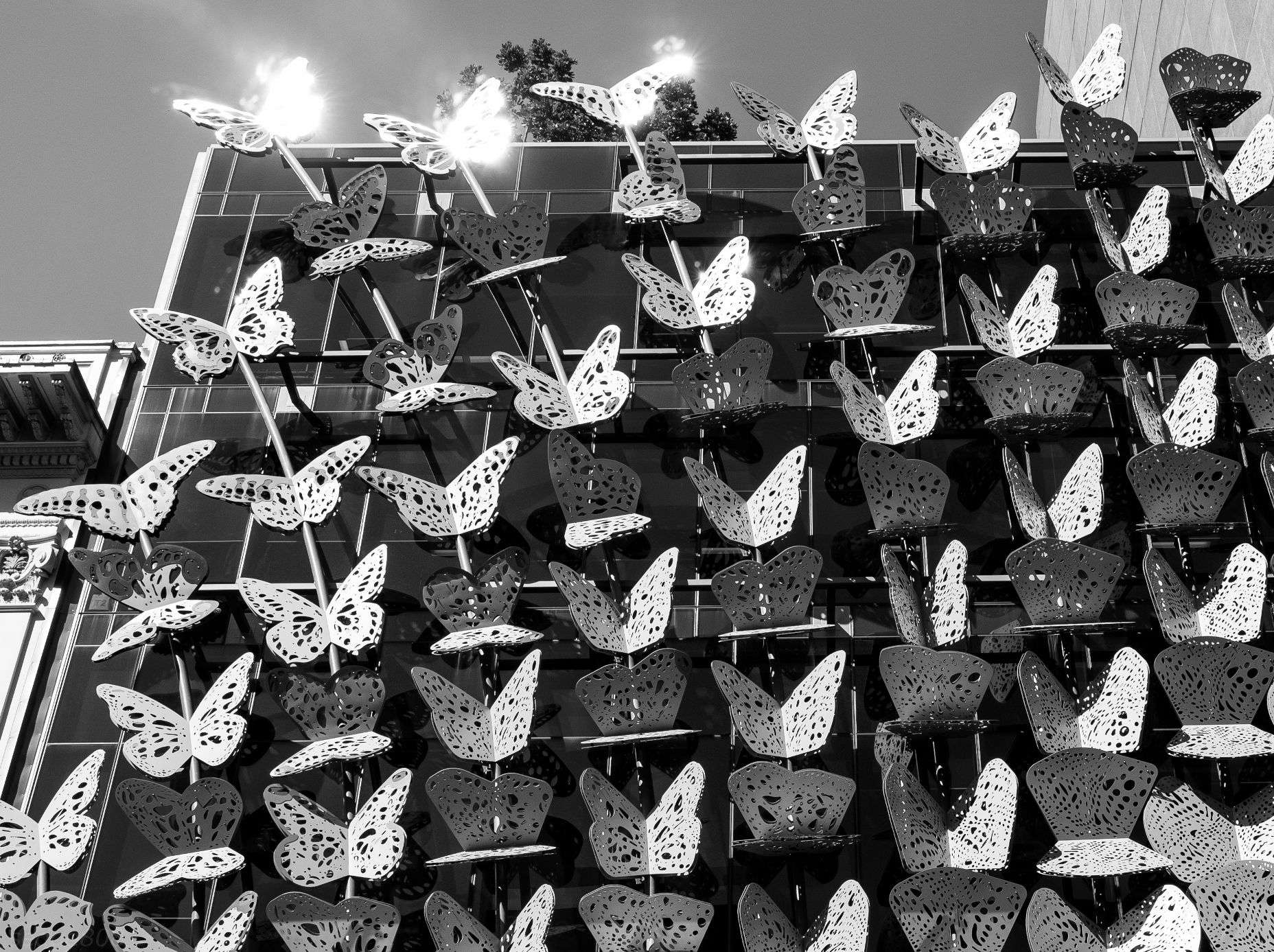 butterfly building